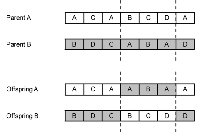 Example of how two-point crossover works